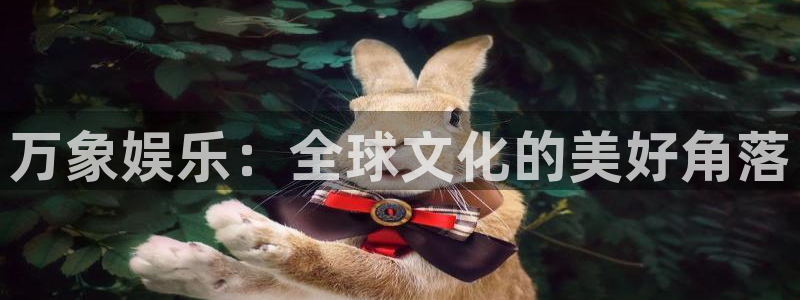 长运娱乐平台官网入口
