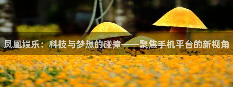 长运娱乐
