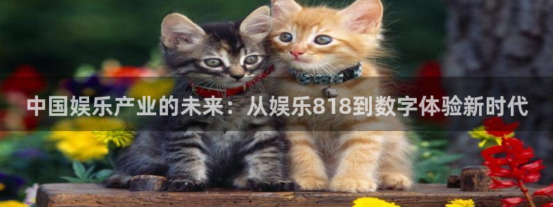 长运娱乐平台